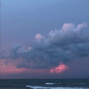 Meet your Posher, Bridgette